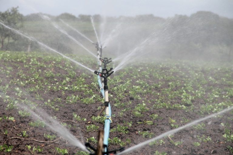 Pequeños productores no tienen sistemas de riego adecuados