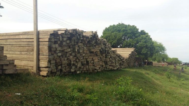 Gigantesca incautación de madera en el sur de Bolívar