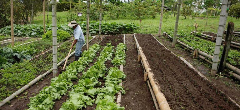 Alertan a campesinos sobre timadores