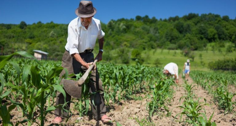 Radio Mundo Rural: La productividad, tema clave para desarrollar el agro