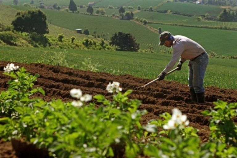 Proyecto de Ley para Sistema Nacional de Innovación Agropecuaria
