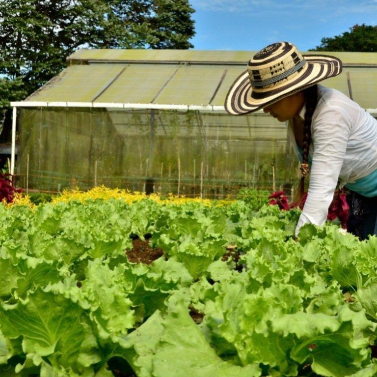 Planeación agropecuaria para 10 años