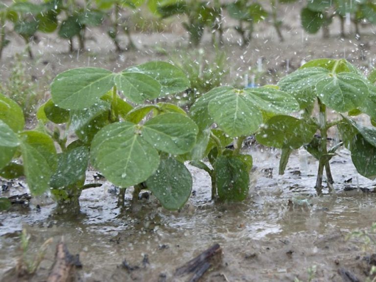 Lluvias afectan comercio de alimentos en Boyacá