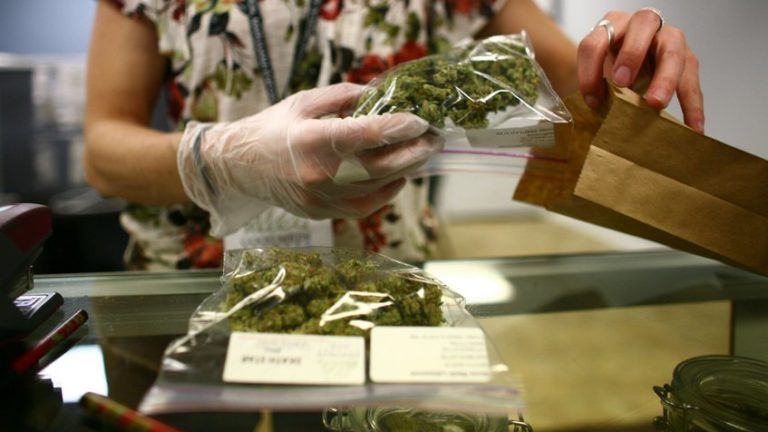 El cannabis, medicina legal en Colombia