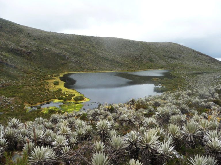 Radio Mundo Rural: Ley de Tierras y protección el páramo Chingaza