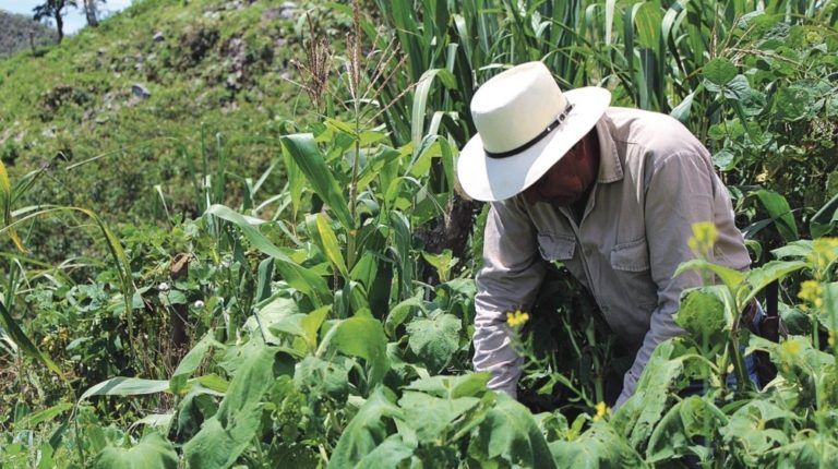 Inversiones de Colombia Siembra