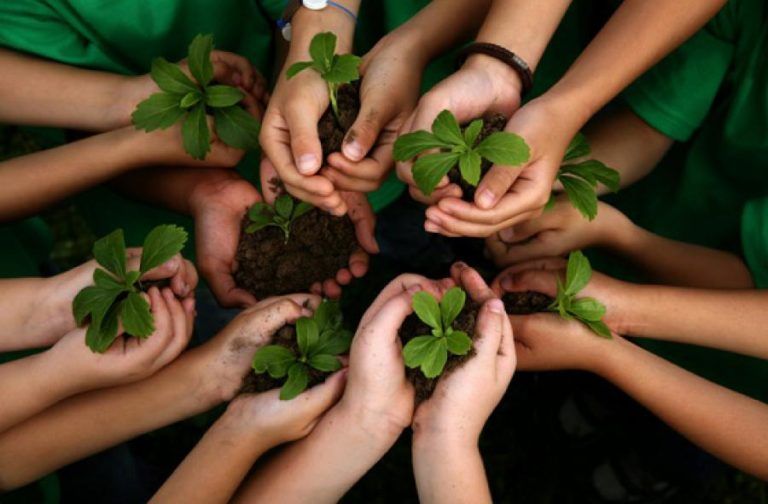 Cuidar el medio ambiente, una tarea de todos
