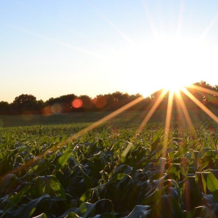 Radio Mundo Rural: futuro del agro y el proceso de paz