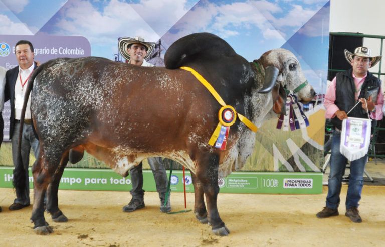 Se vence el plazo para participar en Agroexpo 2017