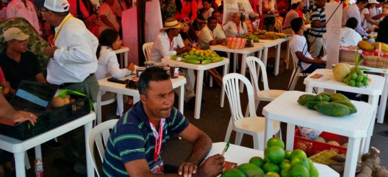 Ruedas de negocio que fortalecen comercialización de alimentos
