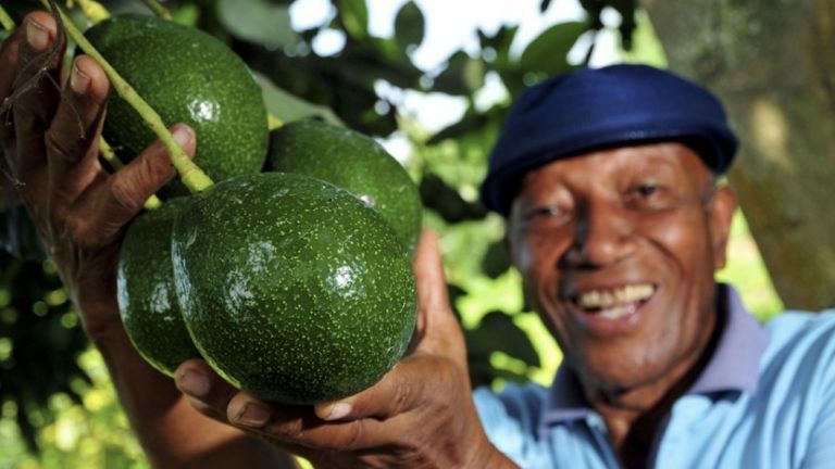 AgroListo, nuevo programa del Banco Agrario