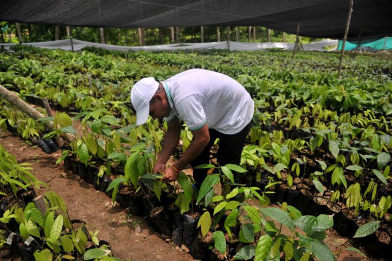 Innovación agropecuaria: la nueva apuesta de Nariño
