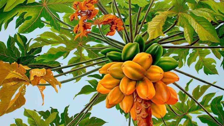 Crece el agro y gana Colombia