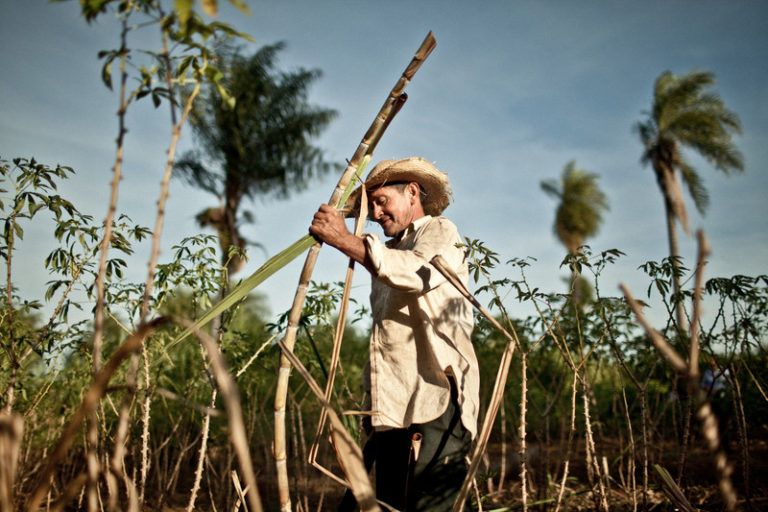 165 familias de Ramiriquí celebrarán el Día del Campesino con las escrituras de sus fincas