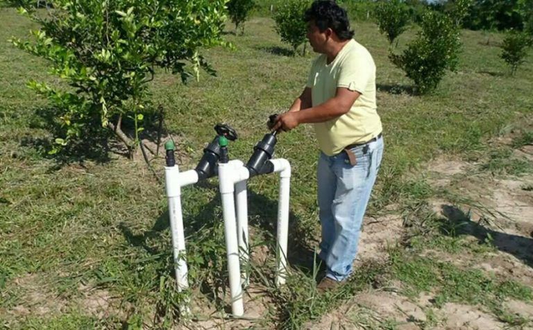 Ahorrando agua en los cultivos