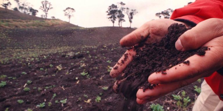 Canadá respalda al campo colombiano
