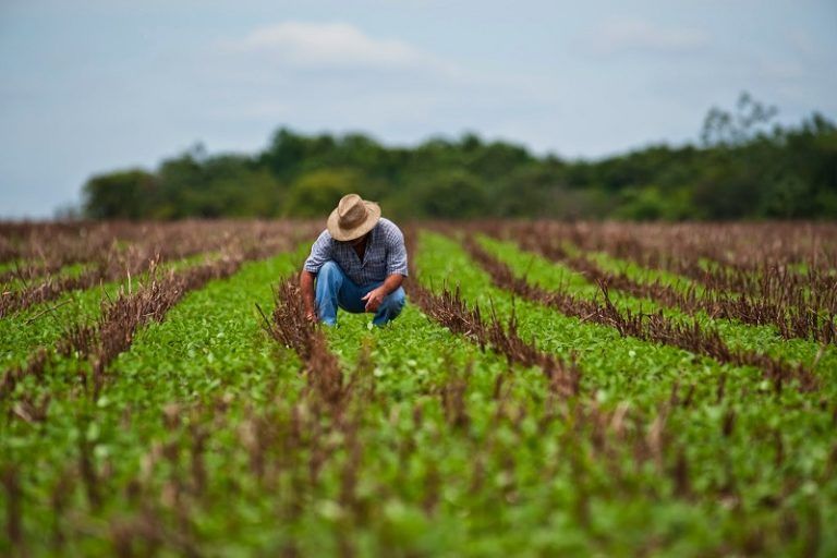 La agricultura se fortalecerá gracias a la Unión Europea y la FAO