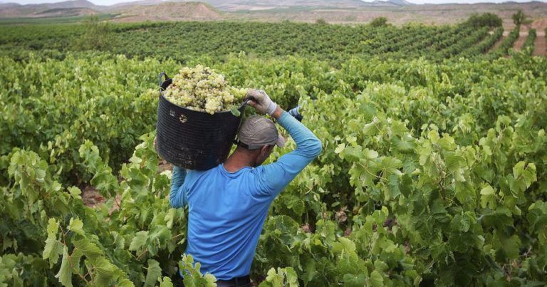 Radio Mundo Rural: bajón económico en el campo colombiano