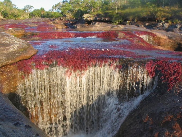 La pérdida de la calidad del agua