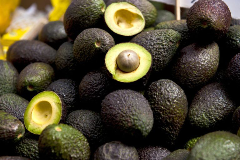 Aguacate Hass abre mercado en China