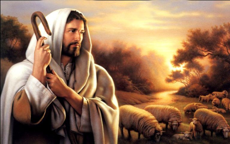 Día 4. Jesús reconoce y cuida la dignidad de la vida humana