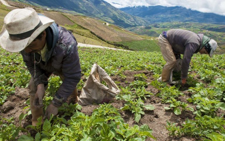 $2.7 billones se invirtieron para pequeños productores en los 32 departamentos