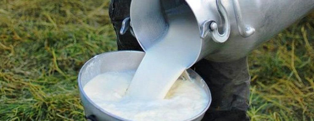 sector lácteo