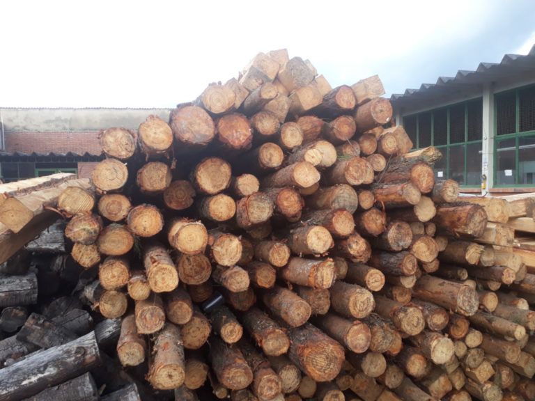 Autoridades incautan 27 metros cúbicos de madera en el municipio de Saboyá