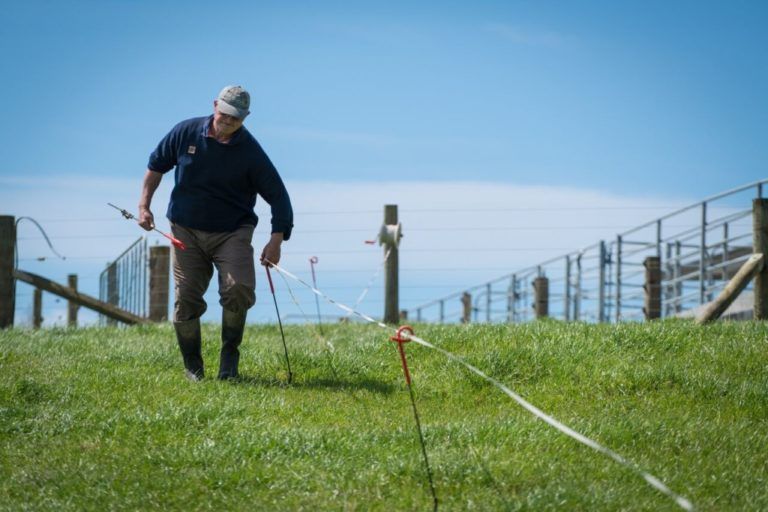 Nueva Zelanda: ¿qué ofrece al sector agropecuario colombiano?