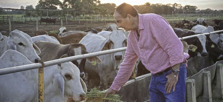 El ICA confirma la eliminación de la fiebre de aftosa en el país