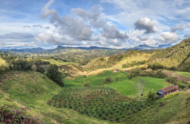 El Oriente Antioqueño: despensa agrícola de la región