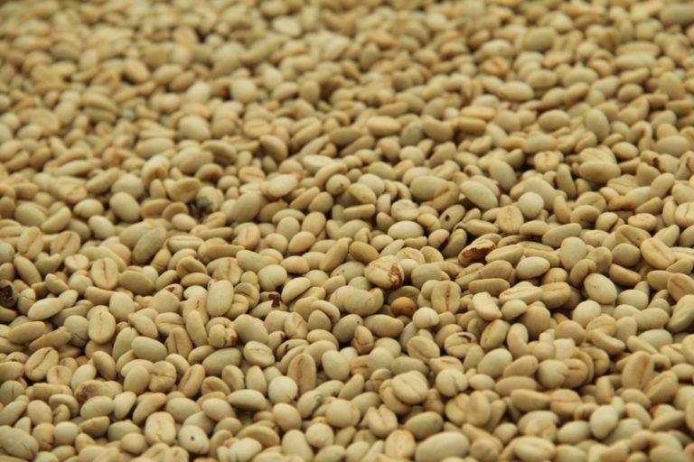 Lo mejor del café reunido en Cafés de Colombia Expo 2017