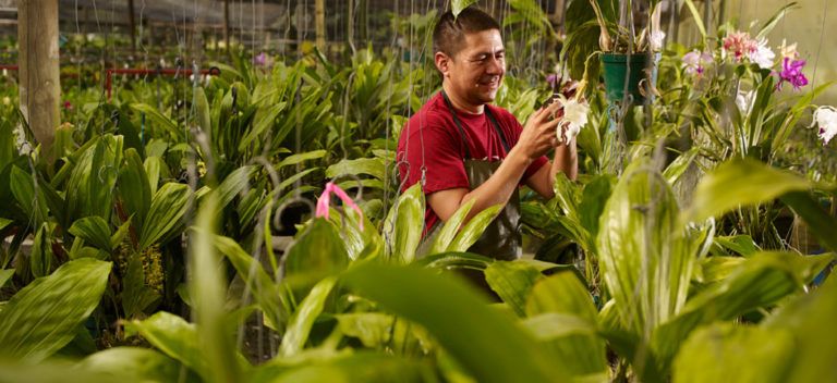 90 mil pequeños y medianos agroproductores reciben asistencia técnica