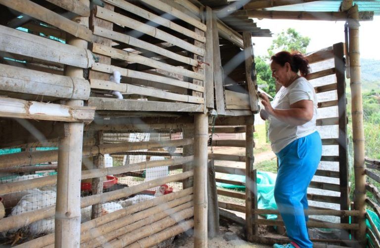 Así son los campesinos del Valle del Cauca