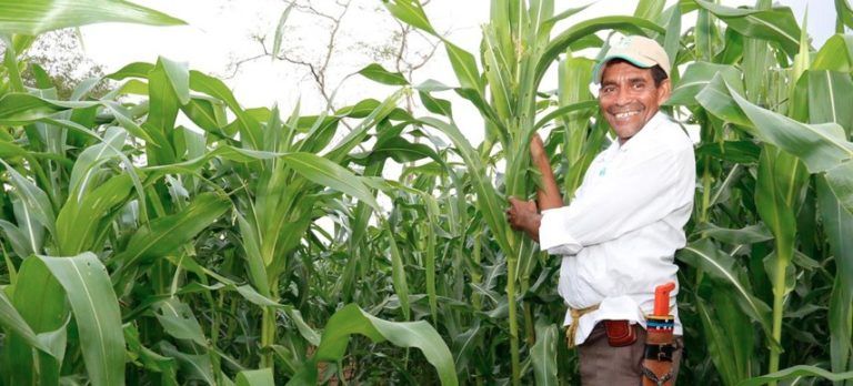 Tasa de desempleo en el campo es la más baja de los últimos 10 años: DANE