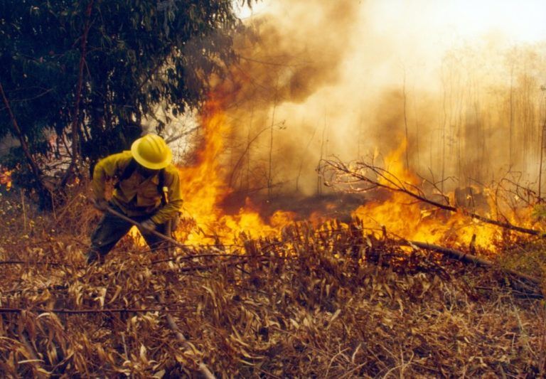 Incendios forestales en Huila, dejan 1.890 hectáreas afectadas
