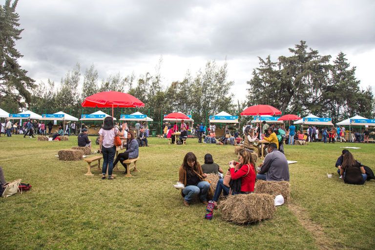 Con total éxito 2 mil personas disfrutaron del Primer Festival Campo y Cocina