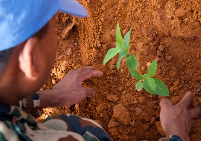 Día para la Prevención de la Explotación del Medio Ambiente