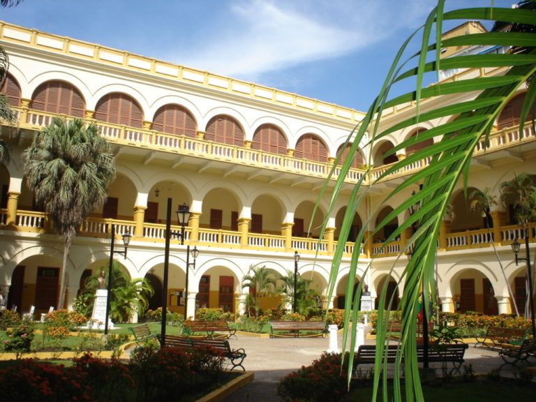 Universidad de Cartagena revela descubrimiento de nuevas especies animales