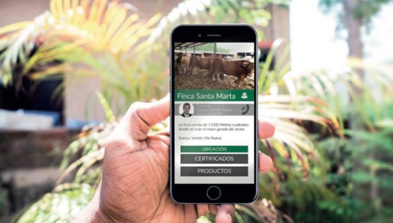 VacApp, la aplicación que promueve buenas prácticas ganaderas