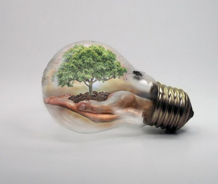 Universidad Nacional entrega hoja de ruta para combatir cambio climático