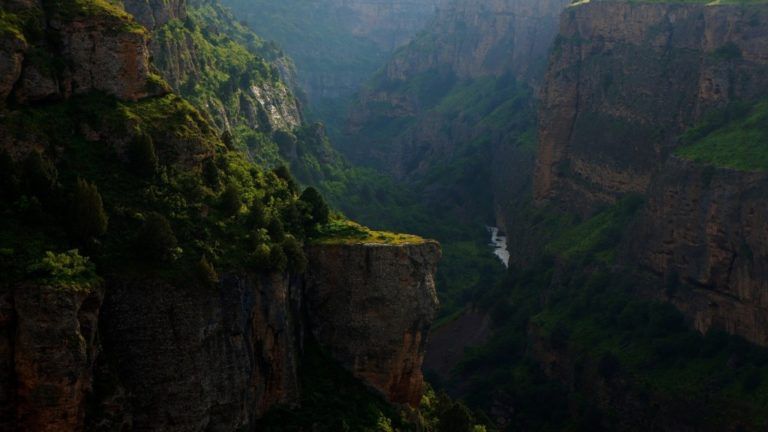 Llega el concurso fotográfico que mostrará la grandeza de la naturaleza