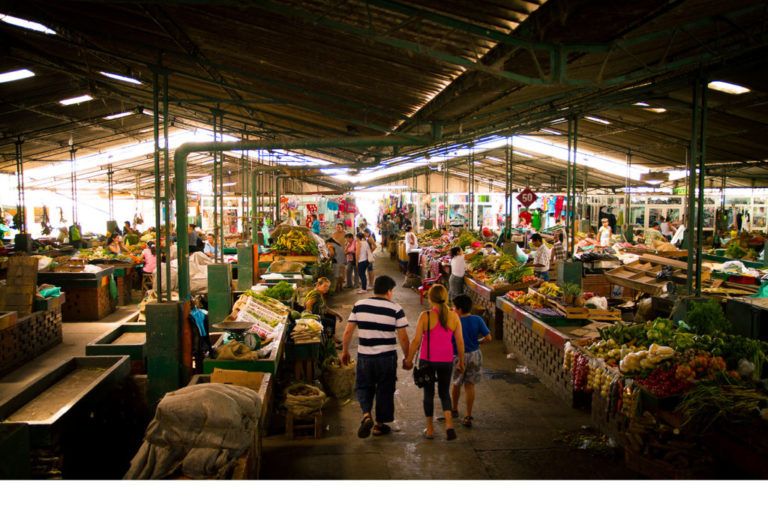 Plaza de Mercado de Zipaquirá ahora cuenta con estrategia para aprovechar residuos