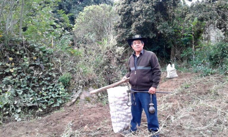 Don José Guativa: un hombre de tradición agrícola que aún trabaja con la Romana