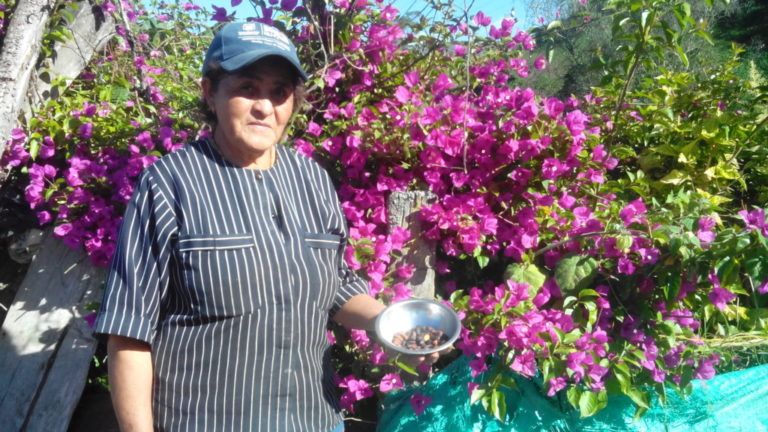 Las Habas, una tradición saludable