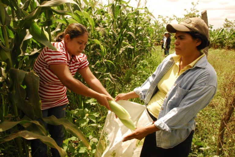 Mujeres rurales tendrán apoyo en políticas públicas