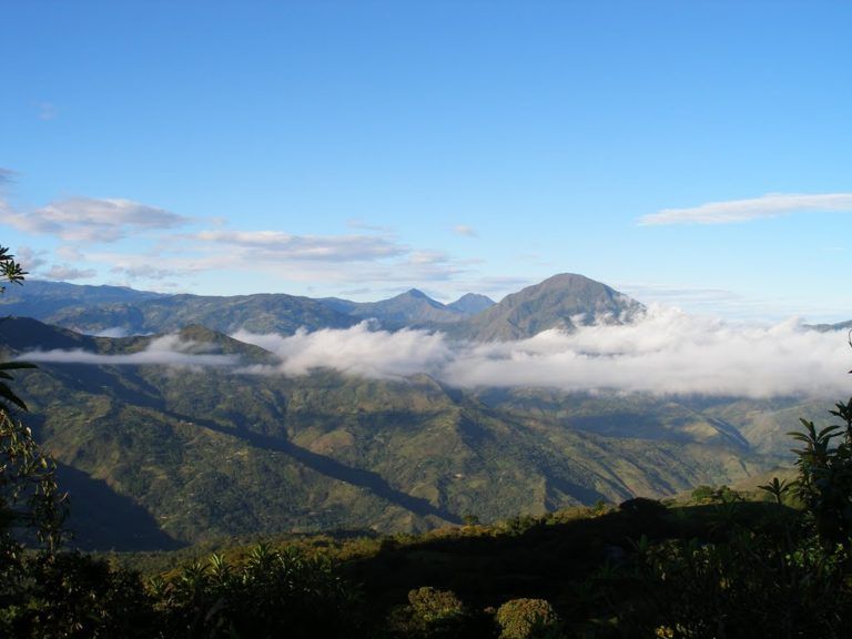 Buscan restaurar el Macizo colombiano, una de las reservas de la biósfera