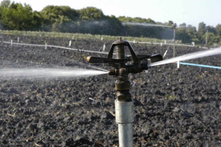 Con el agua de mar se podrían regar los cultivos en La Guajira