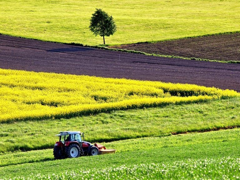 «A toda máquina» el programa que impulsa el campo colombiano amplía línea de crédito
