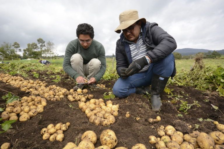 Estas son las acciones preventivas para el campo por afectaciones del clima